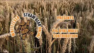 Straw Bear online: Pig Dyke Molly