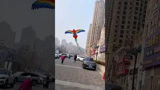 Handheld kite, large size, easy to carry when going out #Check in for good spring air ##shorts