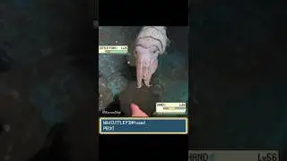 Pokemon FISH used A Super Effective Water Gun! - EeveeSite #pokemon #pokemonmeme #pokemonbattle