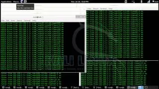 How to ping router on Kali Linux