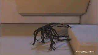 Tyflow Procedural Creature