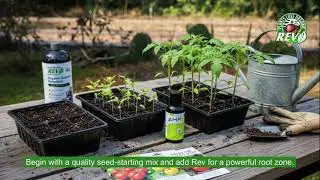 Organic REV and AMP!  Seed Starting Champs.