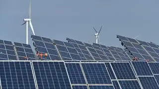 UBS WM Sees Opportunities in China's Green Technologies