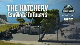 JWE3 sandbox | The Hatchery