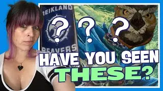 Inside A FLGS | LGS Decorations