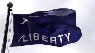 Moultrie Flag 1775  [3/18]