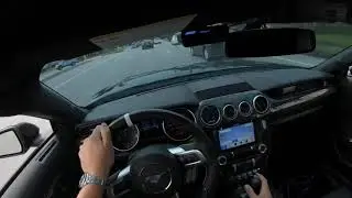 This dog just wants to go fast.