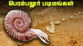 பெரம்பலூரில் வாழ்ந்த டைனோசர்கள் - Perambalur Dinosaurs