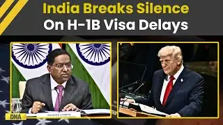 H1B Visa News: India Raises Concern With US As H-1B Visa Delays Cause Hardships | Trump News
