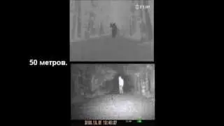 Цифровой прицел N770 и тепловизор Flir TS32 Pro в лесу