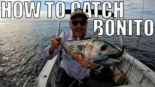 Catch More Bonito On Inshore Reefs: Reel Fishing Episode 113 Guide