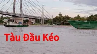 Tàu Đầu Kéo Chở Hàng Chạy Trên Kênh Chợ Gạo Miền Tây.
