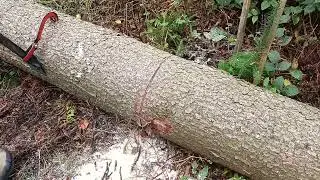 was k&ouml;nnte man besser machen?