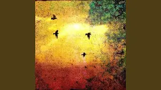 In the Flight Pattern