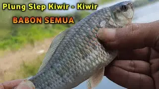 WADER BABON SEMUA, Spot mancing terbaik di bawah jembatan #sensasimancing #waderbabon #mancing