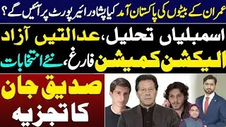Imran Khan&rsquo;s Sons Arrival in Peshawar airport? Assemblies Dissolution, ECP Dismissal, New Elections
