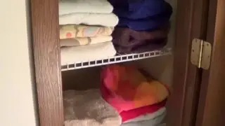 ClosetMaid Shelving - Closet Shelving