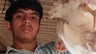 Aab karen ge party,🐔🐔