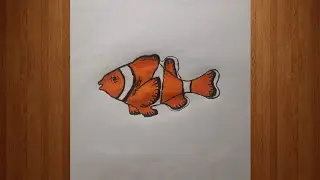 How to Draw Clown Fish Step by Step | Easy Fish Drawing for Beginners