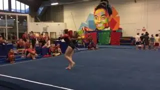 Jan 7 2017 Xcel diamond Julia floor