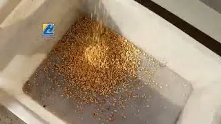 Nut Chopping Machine For Cutting Peanuts