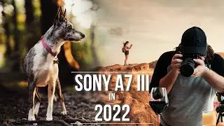 Should You Buy the Sony a7iii in 2022?