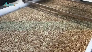 Nutrition bar forming cutting machine granola bar production line