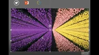 EFECTO FOTOGRAFIA POWERPOINT 2019/ Morph powerpoint  4