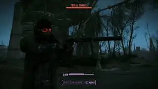 the unmatched power of Bethesda Physics