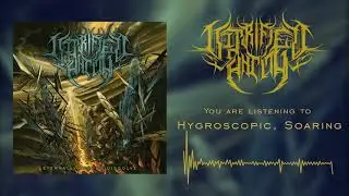 VITRIFIED ENTITY - Hygroscopic, Soaring