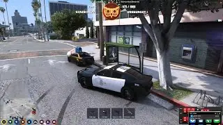 Bundy Surprised When Crim Complies with Traffic Stop | NoPixel GTA RP