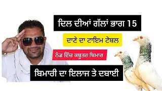 ਦਿਲ ਦੀਆਂ ਗੱਲਾਂ ਭਾਗ 15 ਕਬੂਤਰ ਠੰਡ ਵਿੱਚ ਬਿਮਾਰ ਤੋਂ ਇਲਾਜ ਤੇ ਦਬਾਈ ਦੇ ਕੰਮ ਦਾਣੇ ਦਾ ਟਾਇਮ ਟੇਬਲ 