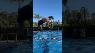 Panda does a backflip in pool #shorts