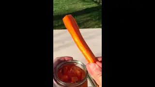 Pickles de carottes lacto-ferment&eacute;s