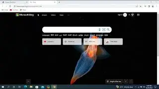 Desktop Notification issue: Installing ISRG Certificate Authority