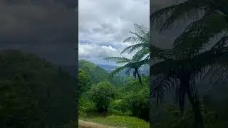 Jamaica&rsquo;s Holywell National Park