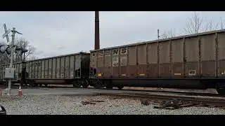 NS empty hopper train crosses shell road