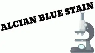Alcian blue stain || all topic here....
