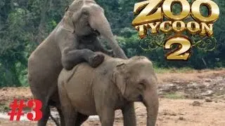 Zoo Tycoon 2 #3 | Raymond Penetrates