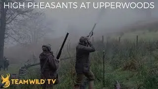 High Pheasant Shooting at the Upperwood Estate with Ian Harford