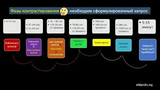 Основы метода КТ «на пальцах». Внутривенное контрастирование. Часть 2: фазы контрастирования.