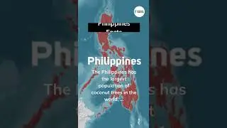 Coconut Country: Exploring the Philippines' Coconut Industry