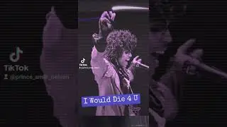 I Would Die 4 U #PrinceRogersNelson #musicology #emancipation #prince4ever💜💜