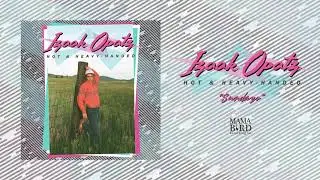 Izaak Opatz - 