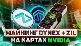 Майнинг Dynex + Zil на картах Nvidia. Настройка SRBMiner