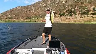 Giant San Diego Bass Caught on Buzz Bait (Summer Bass Fishing)