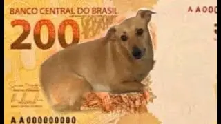 Compilado Memes ✦  Tente nao rir - 2 ✦ #memes