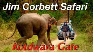 Jim Corbett Safari 🔥 Kotdwara Gate Entry | New Route Complete Guide | How to Book