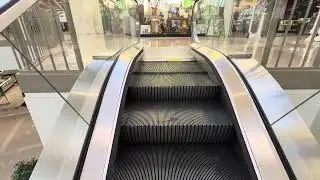 Montgomery Medium-File Escalators near Dillard&rsquo;s ~ Governor&rsquo;s Square ~ Tallahassee, FL