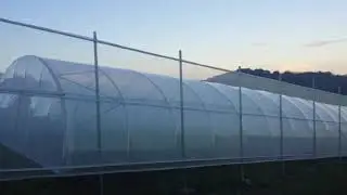 How to protect the greenhouse from the strong wind?